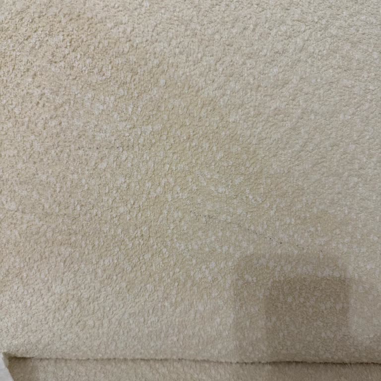 Philips Şarjlı Süpürge Koltuk Ve Halıda Siyah Leke Sorunu