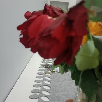 Zamanında Teslim Edilen Siparişimde Solmuş Çiçekler Geldi, Telafi Bekliyorum