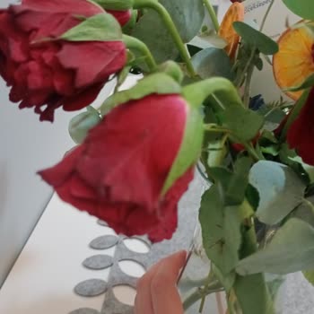 Zamanında Teslim Edilen Siparişimde Solmuş Çiçekler Geldi, Telafi Bekliyorum