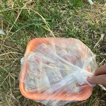 Bozuk Çıkan Piliç Kanat Izgara İçin İade Talebime Çözüm Sunulmadı