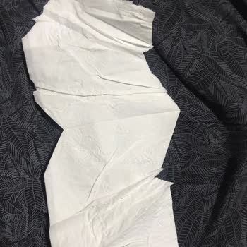 Papia Tuvalet Kağıdında Beklenmedik Kalite Sorunu Yaşadım!