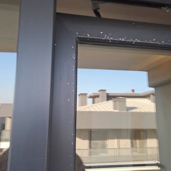 Pahalı Temizlik Hizmeti Sonrası Hasar Ve Kötü Muamele