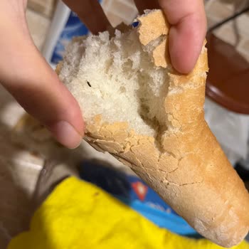 A101'den Aldığım Ekmekten Böcek Çıktı, Hijyen Ve Etiket Eksikliği