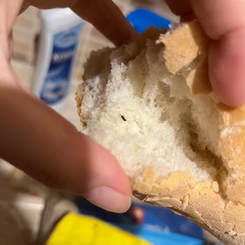 A101'den Aldığım Ekmekten Böcek Çıktı, Hijyen Ve Etiket Eksikliği