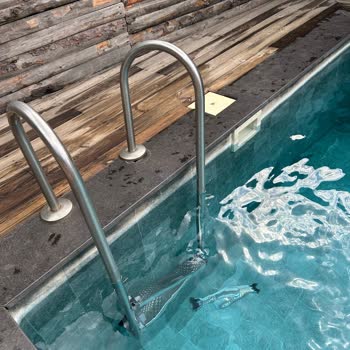 Pentalow Cabin Çalışanlarının Saygısız Davranışı!