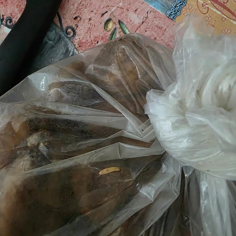 Bozuk Ve Kurtlu Kuru İncir Satışı, İade Sorunu Ve Sağlık Riski