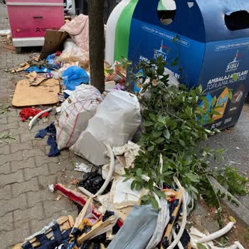 Sürekli Toplanmayan Çöpler Sokakta Kirlilik Yaratıyor