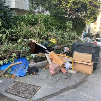 Sürekli Toplanmayan Çöpler Sokakta Kirlilik Yaratıyor