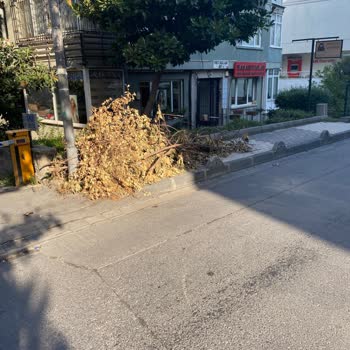 Sürekli Toplanmayan Çöpler Sokakta Kirlilik Yaratıyor