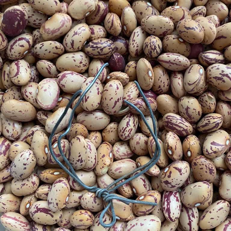 Hasata Barbunya Paketinden Küflü Tel Çıktı, Sağlığım Tehlikeye Girdi