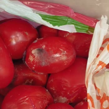 Eksik Teslimat Ve Çözülmeyen İade Sorunu Nedeniyle Mağduriyet