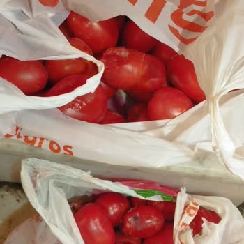 Eksik Teslimat Ve Çözülmeyen İade Sorunu Nedeniyle Mağduriyet