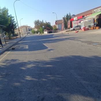 Yavuzlar Dolmuşları 4/b Şikayeti