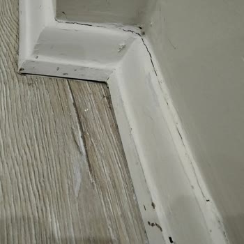 LG Klima Kurulum Hataları Ve Sürekli Arızalar: İade Talebim Reddediliyor