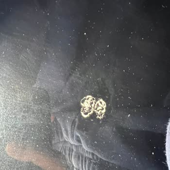 Renault Megane E-Tech Tavan Soyulması Garanti Kapsamında Değerlendirilmedi