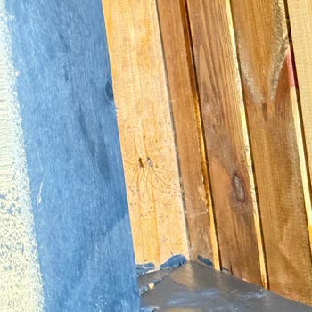 Yako House Anka Triangle'da Hijyen Sorunları Ve Yetersiz Çözüm: Ücret İadesi Talebim