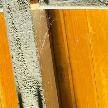 Yako House Anka Triangle'da Hijyen Sorunları Ve Yetersiz Çözüm: Ücret İadesi Talebim