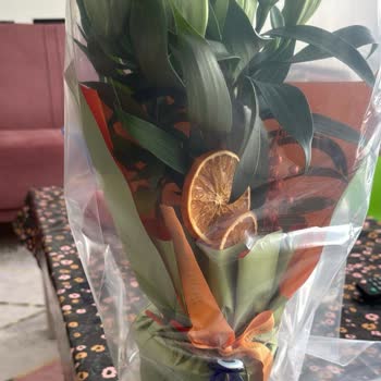 Siparişim Eksik Ve Hatalı Teslim Edildi, Müşteri Hizmetleri Çözüm Sunmuyor