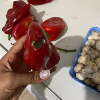 Bozuk Ürünler, Gecikmeli Teslimat Ve İlgisiz Müşteri Hizmetleri Mağduriyeti