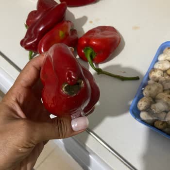 Bozuk Ürünler, Gecikmeli Teslimat Ve İlgisiz Müşteri Hizmetleri Mağduriyeti