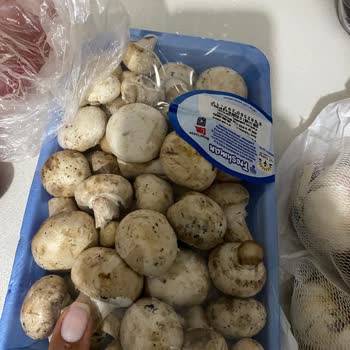 Bozuk Ürünler, Gecikmeli Teslimat Ve İlgisiz Müşteri Hizmetleri Mağduriyeti