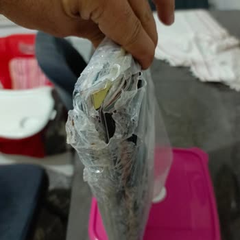 TÜBİTAK PTT Kargom Kapıya Atıldı, Dergilerim Yağmurda Kullanılamaz Hale Geldi