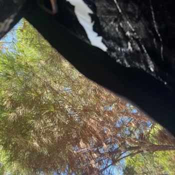 Az Kullanımla Çadırda Beklenmedik Soyulma Ve Kalite Sorunu