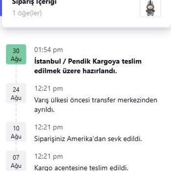 Teslim Edilmeyen Labubu Bebek Siparişi Ve Para İadesi Talebi