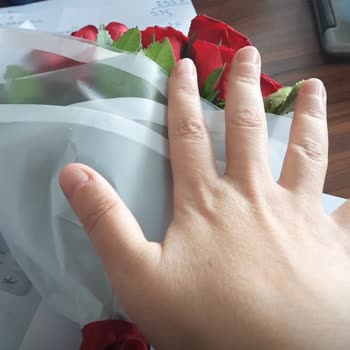 Siparişimdeki Güller Beklediğim Gibi Değildi, İade Veya Değişim Talep Ediyorum