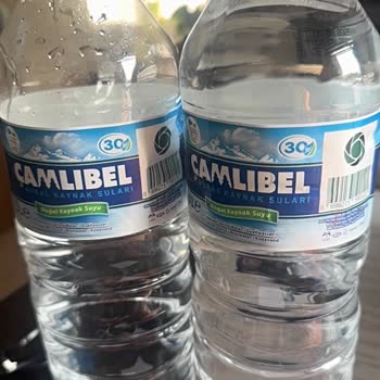 Kaynak Suyunda Foseptik Koku Ve Sağlık Sorunu