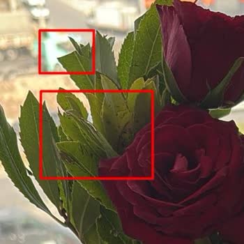 Çiçek Sepeti'nden Gelen Sipariş Mahcup Etti, Ürünler Kötü Durumda Teslim Edildi