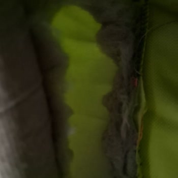 Amazon Chakie Pet Shop Şikayeti