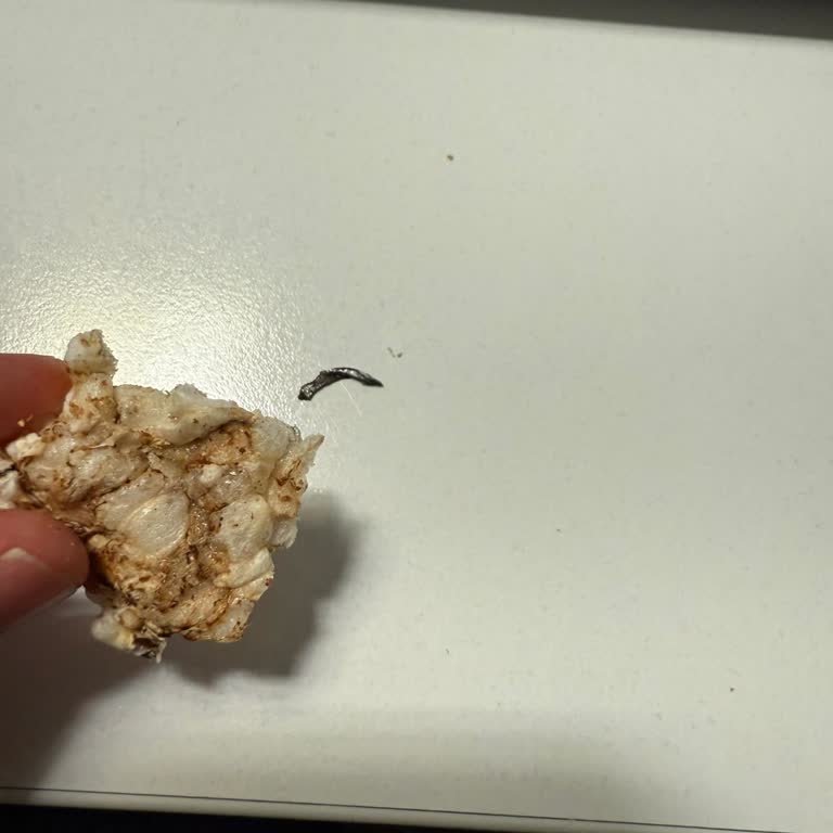 Wefood Glütensiz Patlak Üründe Metal Parça Çıkması Ve Hayal Kırıklığı