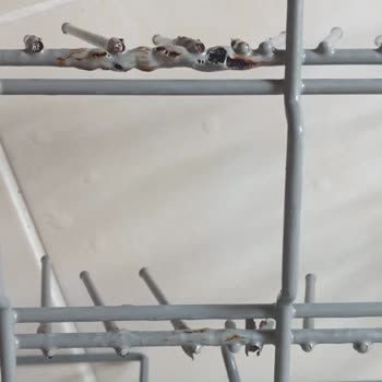 Samsung Bulaşık Makinesi Alt Sepeti Kısa Sürede Paslandı Ve Telleri Kopuyor