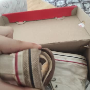 Kısa Sürede Yıpranan Ayakkabı İçin İade Talebim Reddedildi Mağdur Oldum