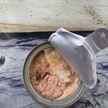 Son Kullanma Tarihi Geçmemiş Ton Balığında Bozulma Ve Güven Sorunu