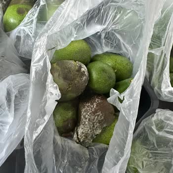 @avokado.kalite Kalitesiz Ürün Gönderimi!