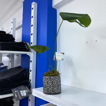 Siparişimdeki Çiçek Görseliyle Teslim Edilen Ürün Arasında Büyük Fark Var, Mağdur Oldum