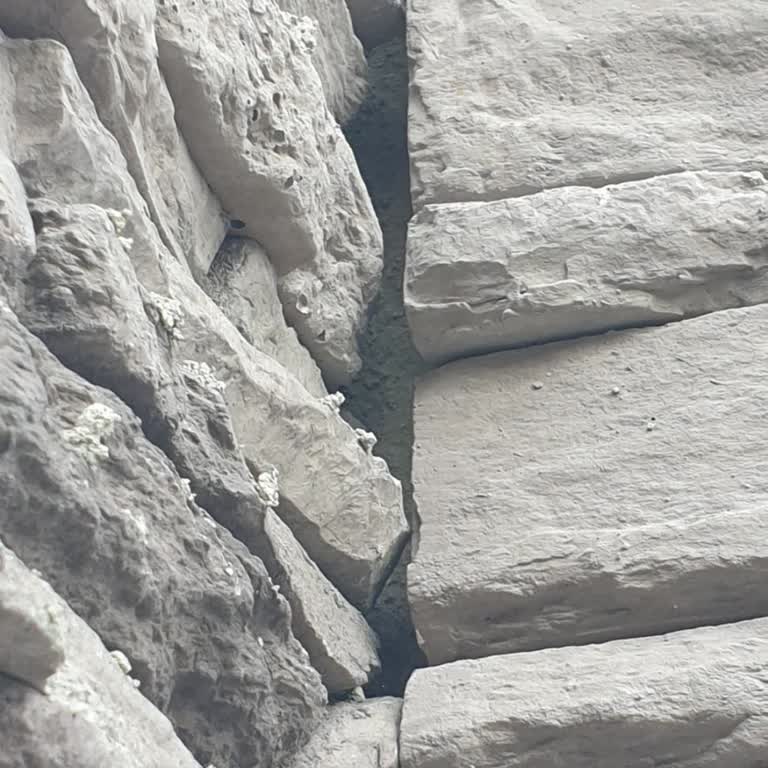 Trend Stone Brick Taşlar Düşmeye Başladı "Al Yapıştır" Dediler