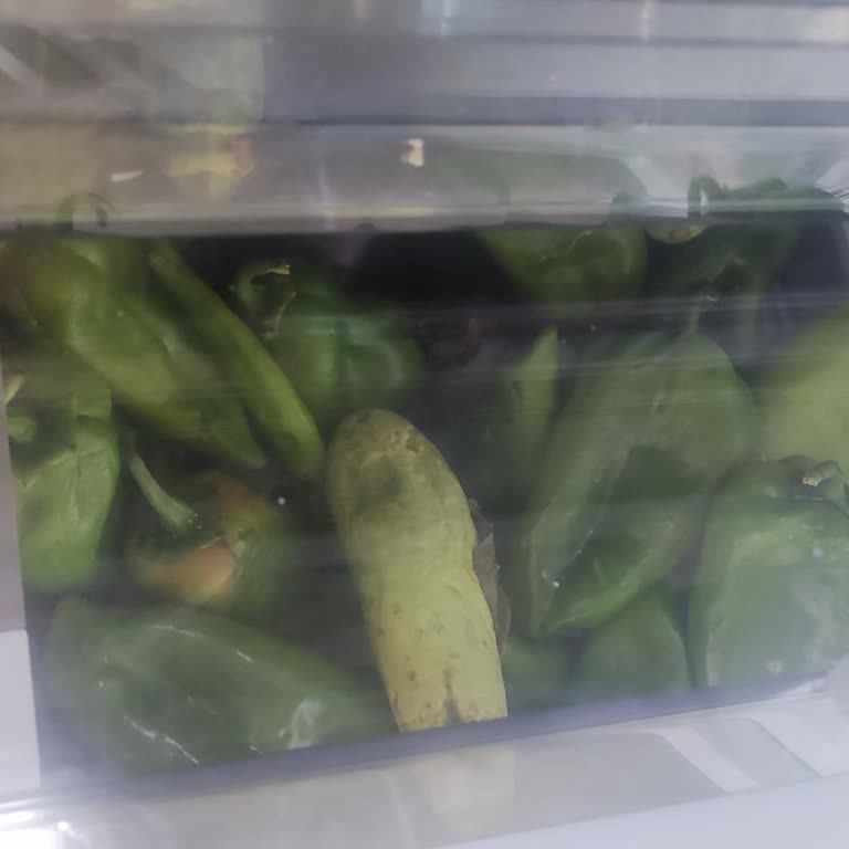 Buzdolabının Sebzeleri Bozması Ve Servis Merkezinde Çözüm Bulunamaması