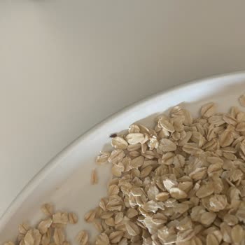 City Farm Aldığım Organik Yulafın İçinden Böcek Çıktı!