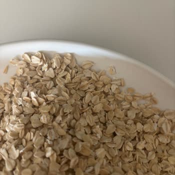 City Farm Aldığım Organik Yulafın İçinden Böcek Çıktı!