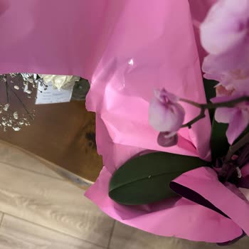 Onaylamadığım Kalitesiz Orkide Gönderildi Param İade Edilmedi