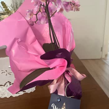 Onaylamadığım Kalitesiz Orkide Gönderildi Param İade Edilmedi