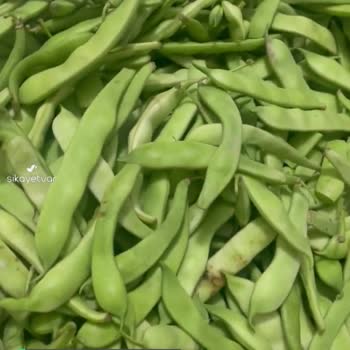 Erenler Süper Market'ten Aldığım Ürün Kötü Çıktı