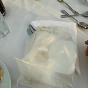 Küflü Islak Mendil Şoku: Sağlık Riski Ve Bilgilendirme Eksikliği