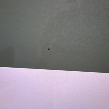 Yeni Alınan Televizyonda Ekran İçine Sinek Girmesi Sorunu