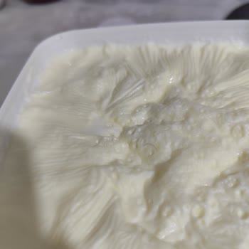 Dost Yoğurttan Kıl Çıktı, Mağduriyetimin Giderilmesini İstiyorum