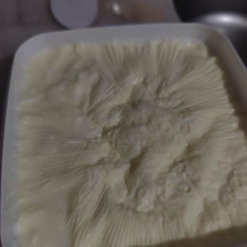 Dost Yoğurttan Kıl Çıktı, Mağduriyetimin Giderilmesini İstiyorum