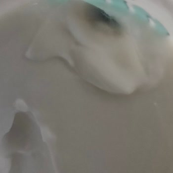 Son Kullanma Tarihi Geçmemiş Üründe Küf Sorunu